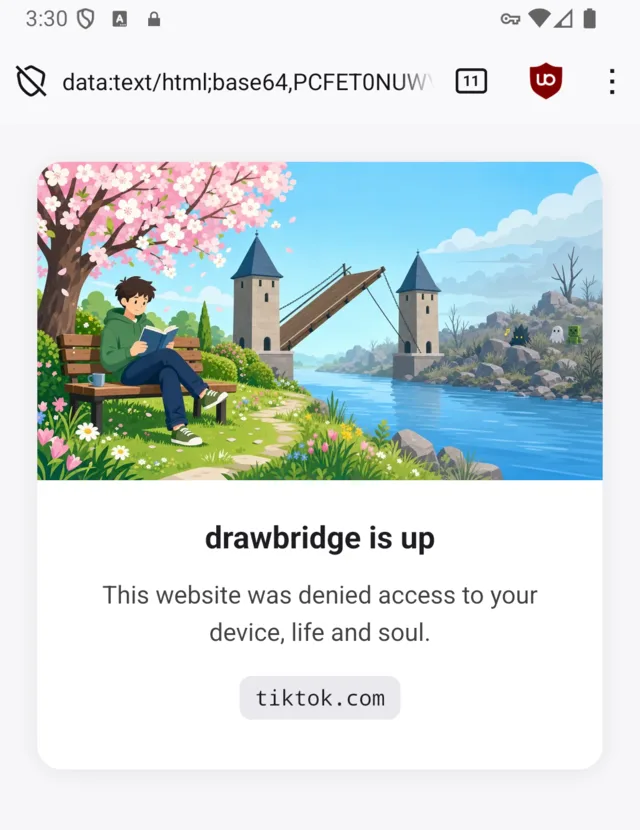 herald refusing tiktok.com, with drawbridge's illustration above the message.
